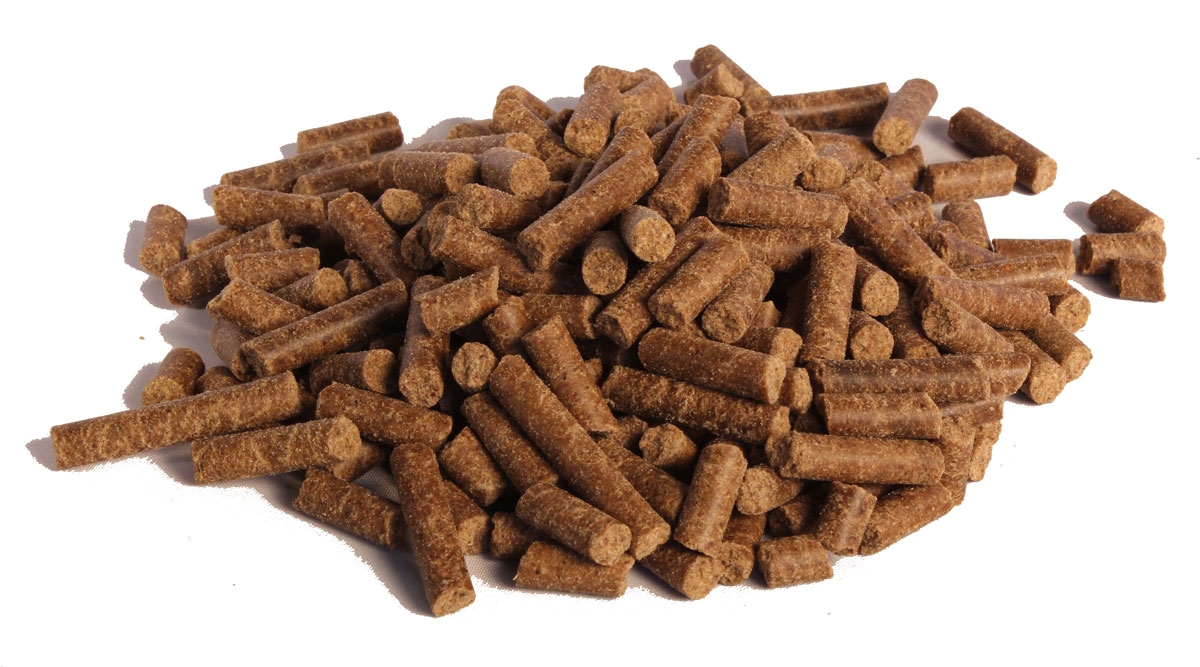 Bewolkt Bezwaar Meer dan wat dan ook Puppybrokken graanvrij, kip met aardappel - Geperste brokken - Youko Hondenvoer Bewolkt Bezwaar Meer dan wat dan ook Puppybrokken graanvrij, kip met aardappel - Geperste brokken - Youko Hondenvoer